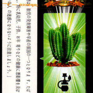 カクタス(サボテン) (Cactus ) Panorama プレミアム パノラマ 水タバコ・バコラシーシャ用フレーバー 50g